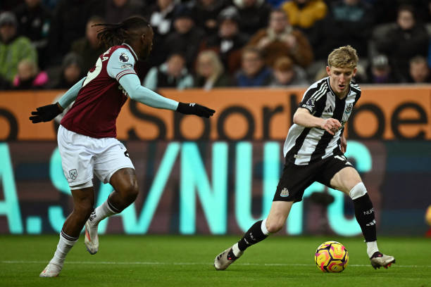 显示出卓越 显示出卓越