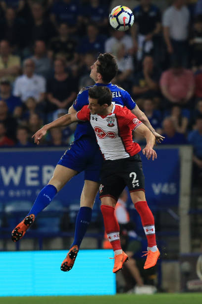 多特蒙德后 多特蒙德后